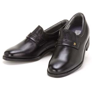 �S�V��^���v6cm�A�b�v�r�W�l�X�V���[�Y
