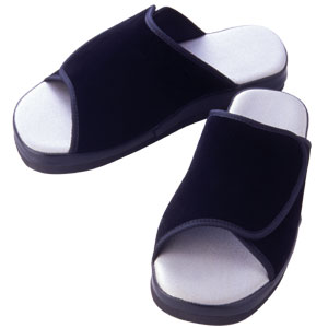 �V���[�}�X�^�[�݌v�u�����̑��^�X���b�p�v