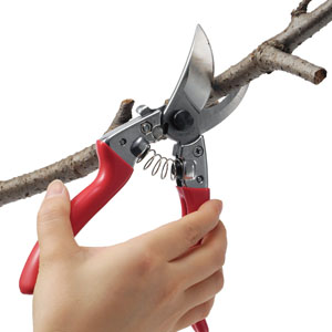 【ガーデニング  作業用具】簡単操作でスパッと切れるプロ用剪定鋏