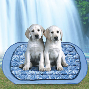�y�b�g���NEW�h�M�[�}�b�g