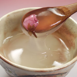 奈良吉野　葛湯と葛菓子のセット
