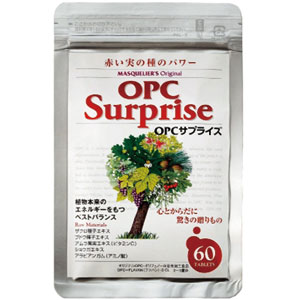 ���̖h�䕨���}�X�P���G���m��OPC�@2�ܑg