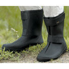 ���΂��ƊJ�����C�@NEW����݃��C��(�����Y)