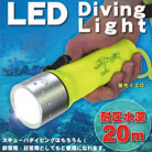 CREE�Ё@����LED���S�h�����C�g